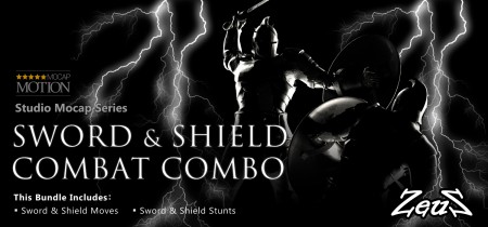 Sword & Shield Combat Combo