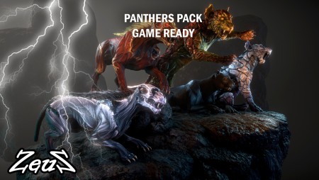 Panthers Pack