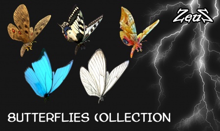 Butterflies Collection